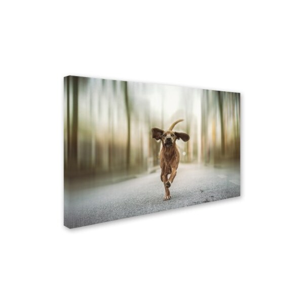 Heike Willers 'Dancing In The Streets' Canvas Art,12x19